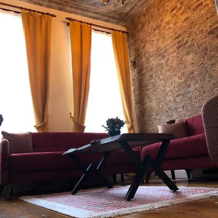 公寓 Galata Apartments-exclusive Design 伊斯坦布尔